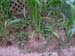 05-07 08 wmellon