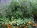 05-08 41 garden